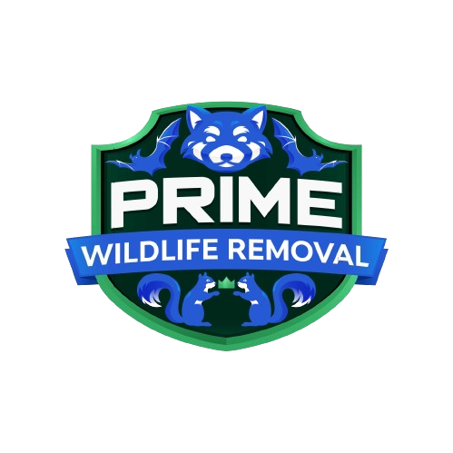 Animal Removal Vermillion County